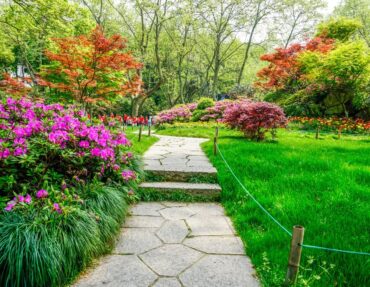 Rooted in Nature, Designed for You The Pristine Gardenscape Approach Rooted in Nature, Designed for You The Pristine Gardenscape Approach