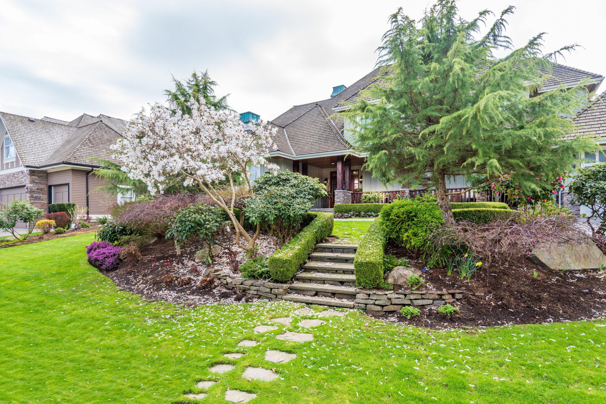 Front yard landscaping with blooming trees and a green lawn in front of a home in the San Fernando Valley
