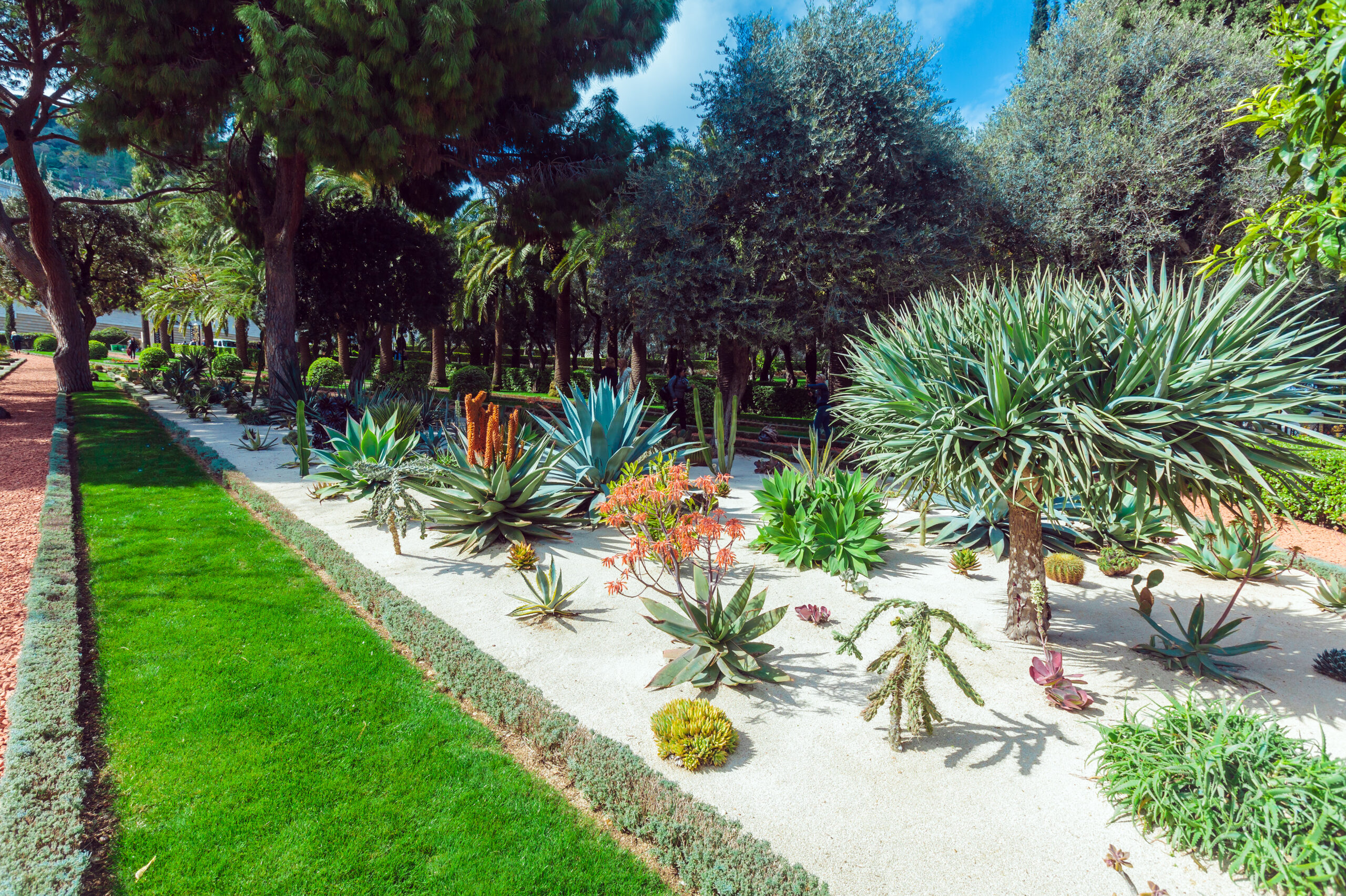 Colorful flower garden beds showing landscaping and fencing ideas in Calabasas.