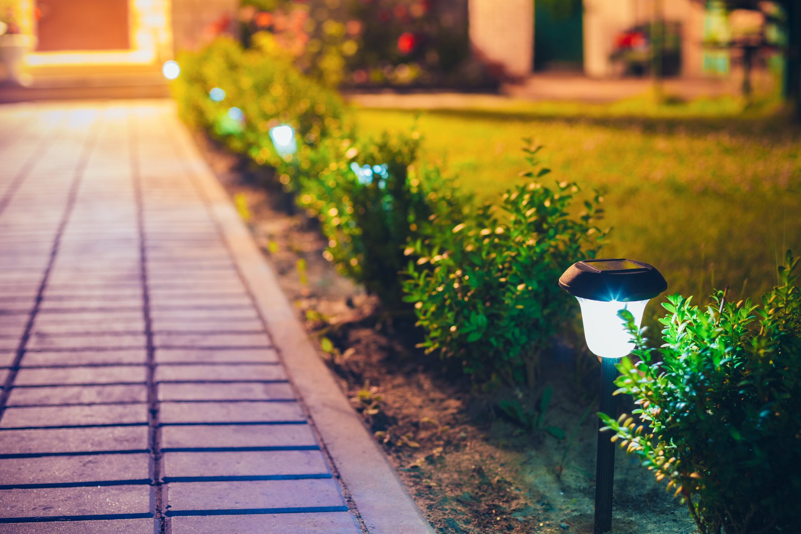 Landscape lighting from solar path lights glowing along a paved walkway lined with green shrubs at night in the San Fernando Valley