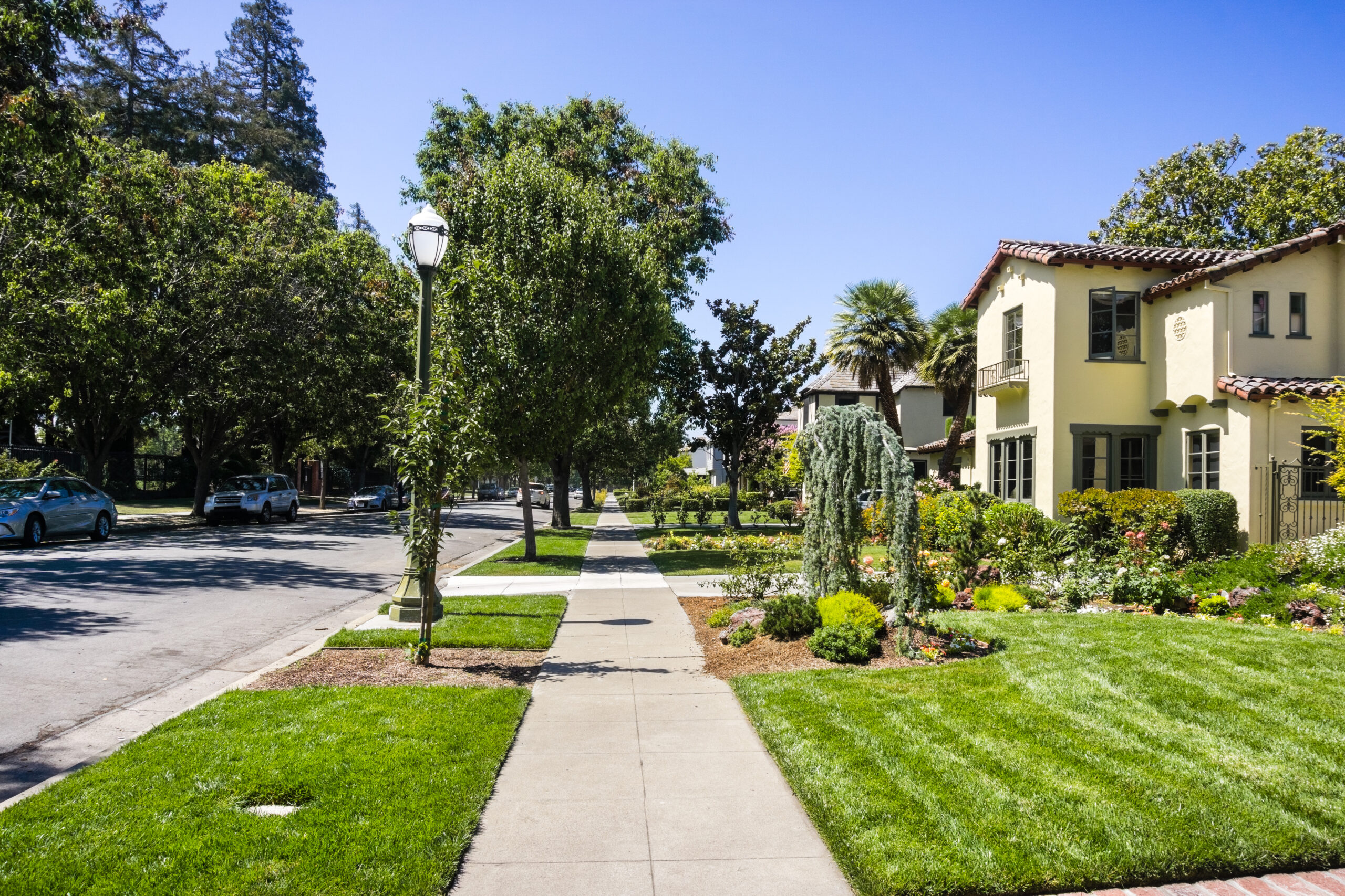 Tree-lined residential street with landscaped front gardens, lawns, and mature trees in the San Fernando Valley