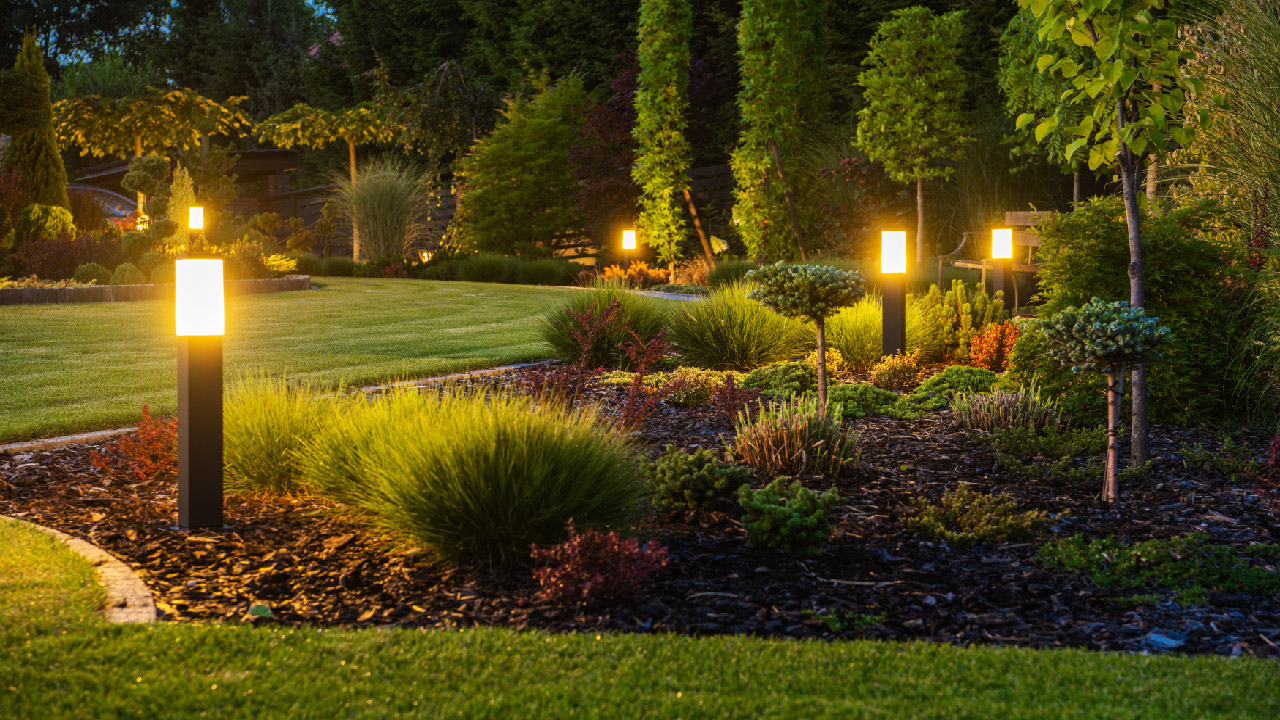 Garden bollard lights illuminating drought-tolerant planting beds in a San Fernando Valley yard at dusk.