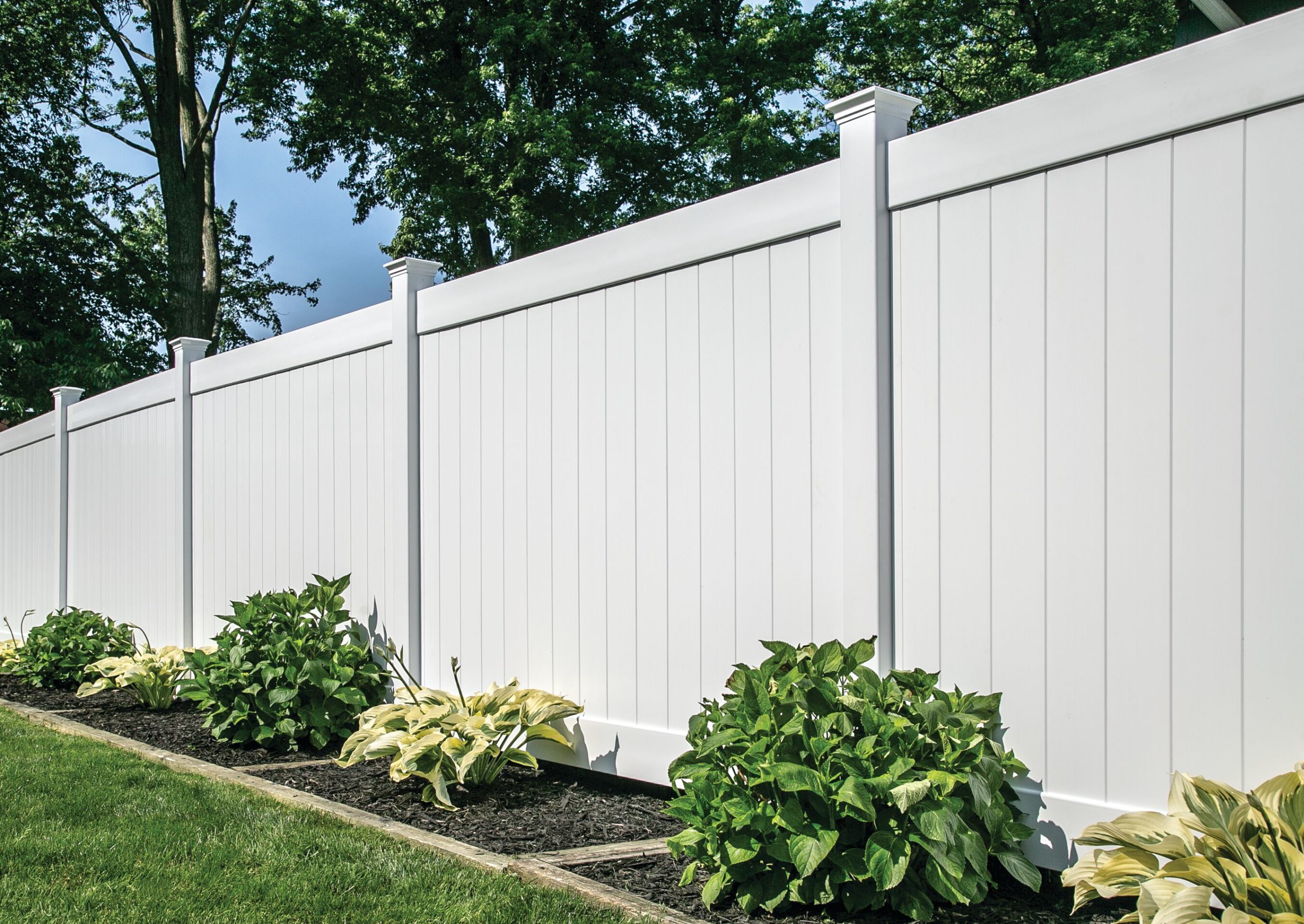 White vinyl privacy fencing with capped posts and leafy trees behind it in the San Fernando Valley