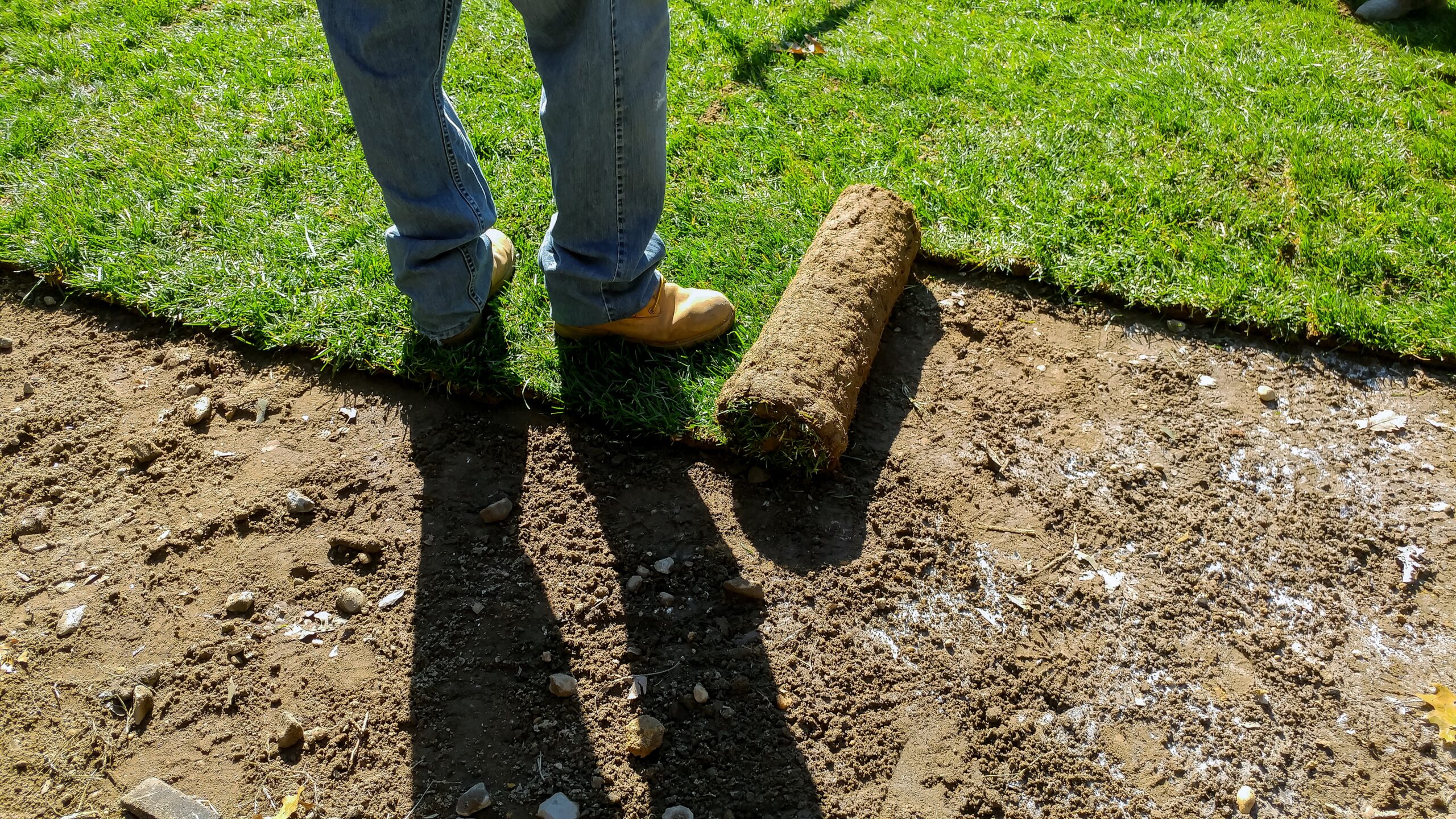 Worker unrolling fresh sod for a new lawn during a landscaping installation in the San Fernando Valley