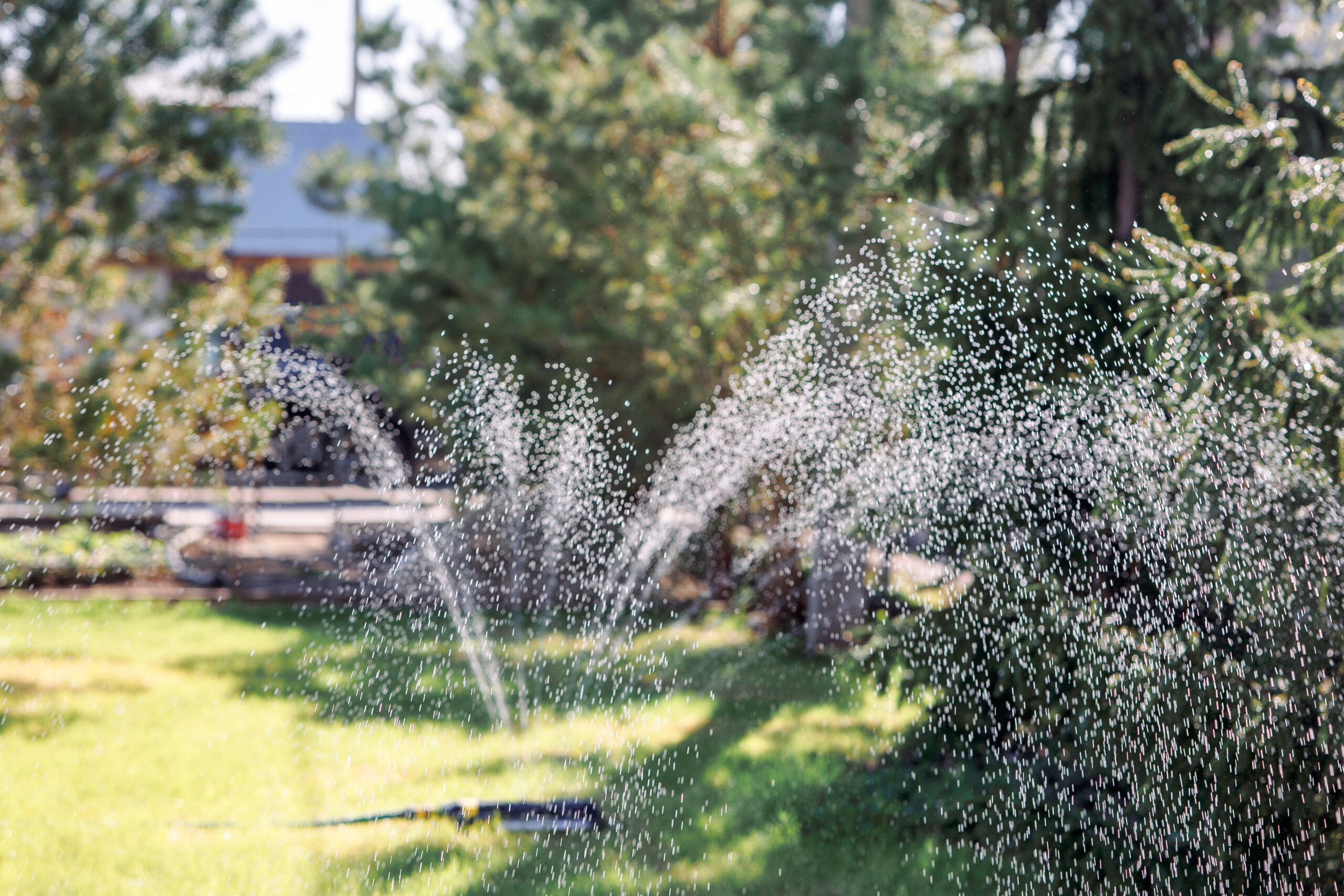 Sprinklers spraying water over a green lawn and trees, the heavy watering a drought-tolerant landscape avoids in the San Fernando Valley