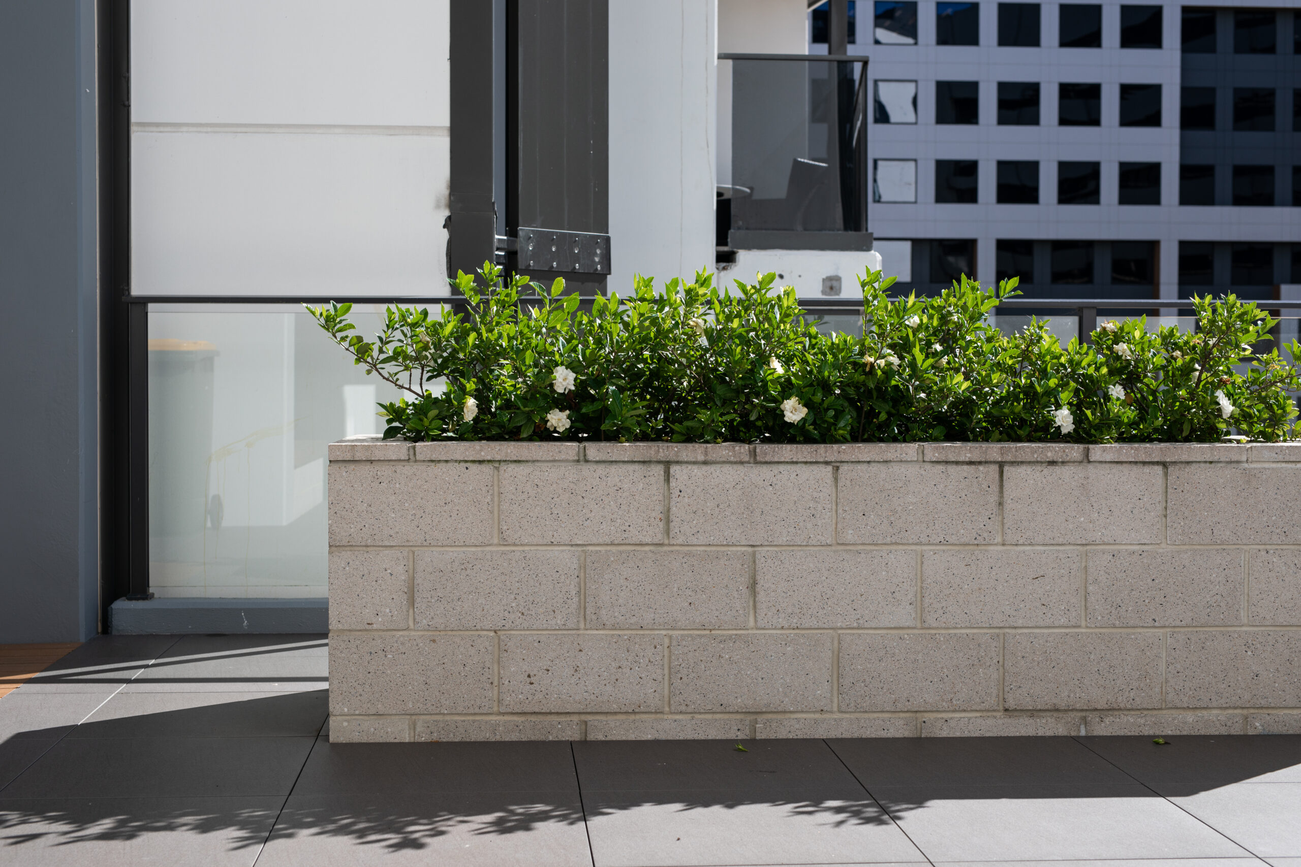 Segmental block retaining wall planter filled with green shrubs and white flowers in the San Fernando Valley