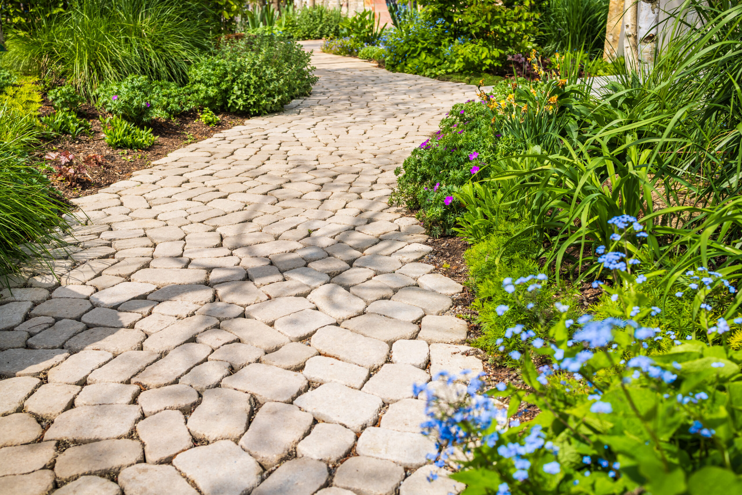 Hardscape stonework with a winding cobblestone path through a lush planted garden in the San Fernando Valley